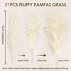 Reed Box Pampas Grass Dried Flower Decoration