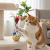 Игрушки-неваляшки для кошек, устойчивые к укусам, жевательные игрушки с перьями, агавой, для чистки зубов, интерактивные игрушки для кошек, аксессуары