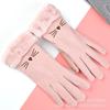 Suede Gloves Ladies Winter Velvet Warm Thickened Touch Screen Outdoor Cycling, Running, Driving Students, Korean Male