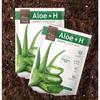 Arial Seven Days Aloe H Soothing Moisturizing Mask Pack, 1 Pack, 20 Pieces