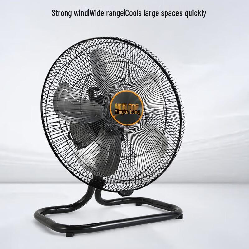 Xuan Yong 16-inch Oscillating Convertible Fan