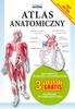 Anatomical Atlas