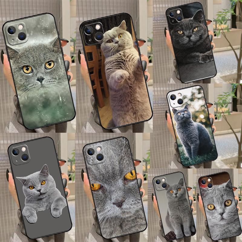 Чехол для телефона Британская короткошерстная кошка Для iPhone 17 16 14 13 12 11 15 Pro Max 12 13 Mini 16E 17 Air Ударопрочный чехол
