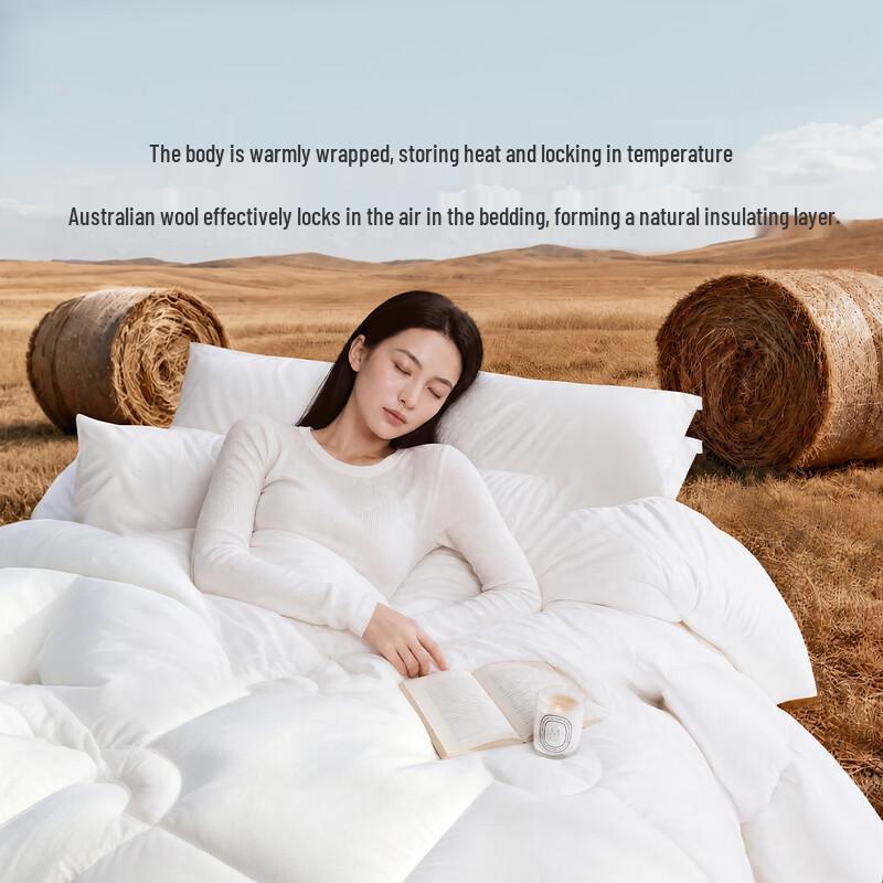 LUOLAI Australian 100% Wool Anti-Mite Winter Duvet