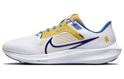 Air Zoom Pegasus 40 'Северная Каролина A&T' DZ5952-100
