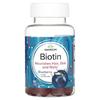 Biotin, Blueberry, 60 Gummies
