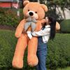 Animal Bear Teddy Plush Toy Pillow Gift Decoration Fillers Doll Tie Festival