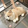 Diatomaceous Earth Bathroom Carpet Water-absorbing Bedroom Door Rug  Home Decor