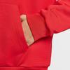 Nike Therma FIT Коллекция KOBE, Толстовка с капюшоном и подкладкой из флиса, с длинным рукавом, Мужская HJ8110-657