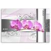 Canvas Print, Orchids Flowers Nature Pink