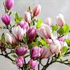 Decoration Film Feel Faux Flower Branch Decorative Flowers Magnolia Bouquet Artificial Flowers