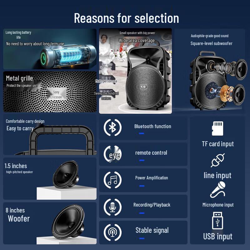 Soai ST-809 8-inch Portable Outdoor KTV Speaker