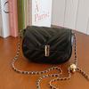 Chic Women's Small Chain Crossbody Bag Fashionable Spring 2024 Pu Leather Minimalist