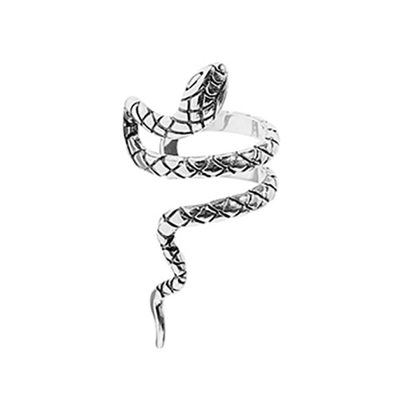 foxanry Змеиные геометрические серьги для женщин, креативные винтажные клипсы для ушей в стиле хип-хоп, вечерние ювелирные аксессуары, подарки