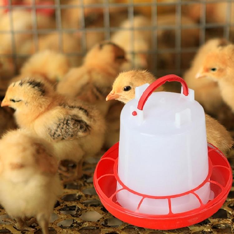 Набор из 4 кормушек для цыплят с 2 автоматическими поилками, конструкция, предотвращающая просыпание, 4 кормушки для маленьких птиц, перепелов, уток, аксессуары для курятников