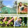 Walk In Polytunnel Greenhouse Outdoor Garden Tunnel Greenhouse Tent With Zipped Roll Up Door And 8 Mesh Windows 6 X 3M