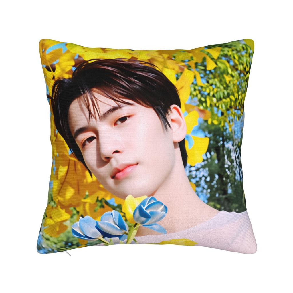 Zhang Actor Linghe Pillow Cover Morden Pillow Case For Sofa Couch Bed Living Room Graphic Pillowcases Gift Idea