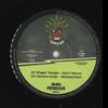 10inch Record SINGER TEMPA; HORACE ANDY / NOEL EL - Don't Worry; Wicked Dem / Oh Girl;  RRR011 Roots Renegade  2023 Europe Reggae, Ska & Dub