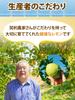 Daichi no Takara Lemonade Setouchi Lemons Hokkaido Beet Sugar 600g Refreshing No Dilution Preservative-Free Lemon
