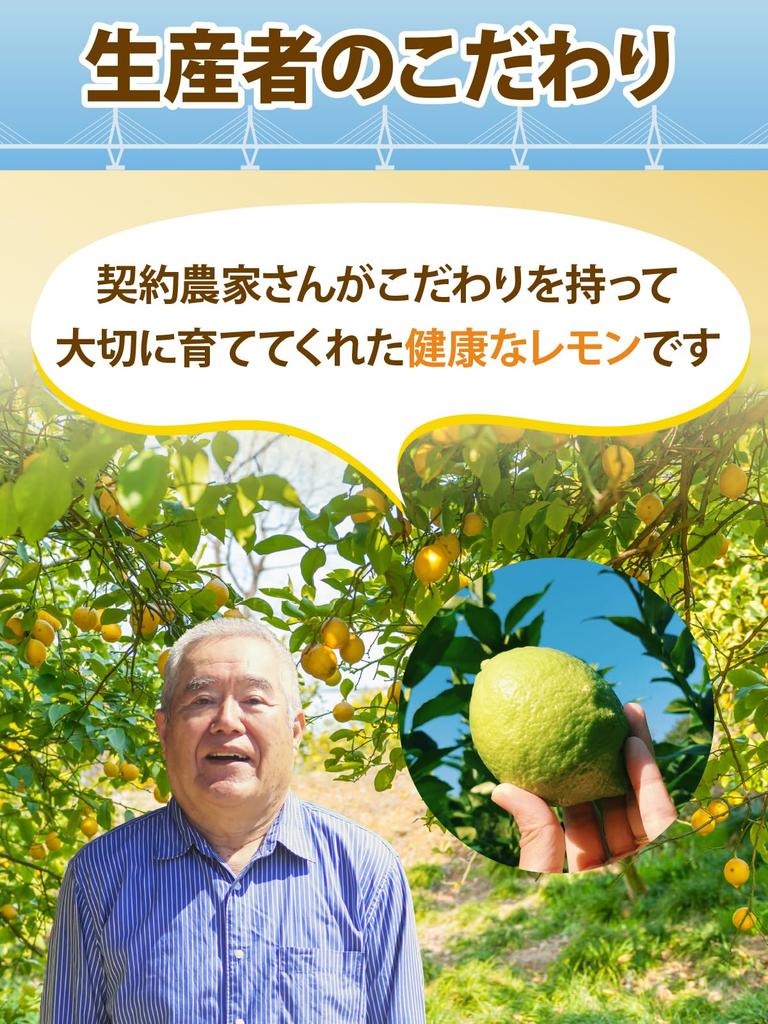 Daichi no Takara Lemonade Setouchi Lemons Hokkaido Beet Sugar 600g Refreshing No Dilution Preservative-Free Lemon