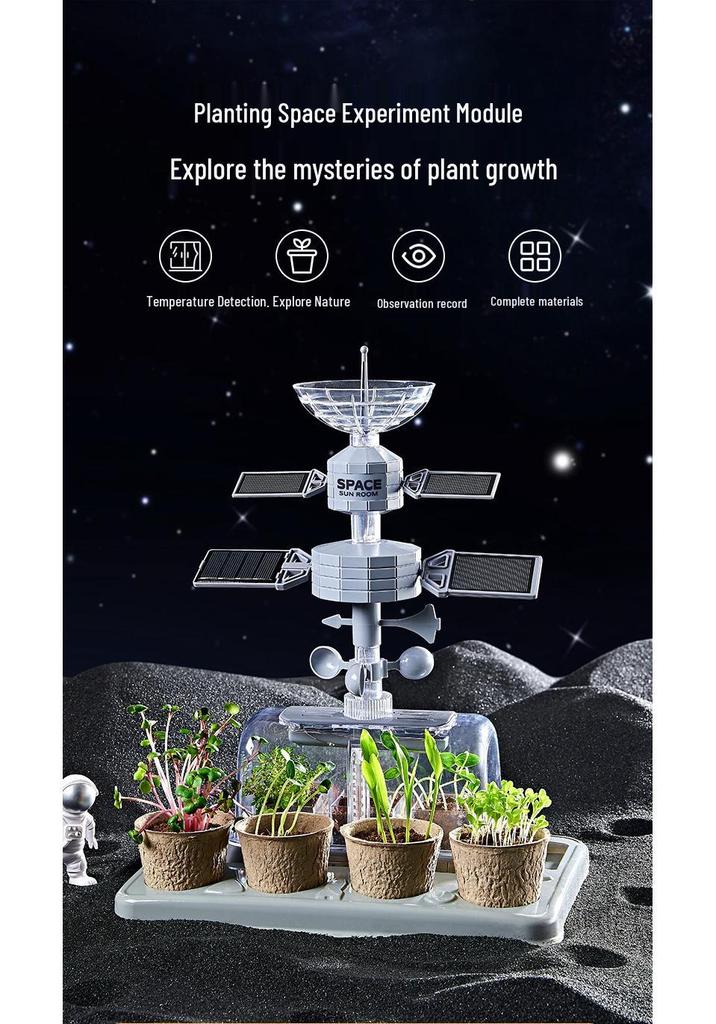 Educational Science Kit: Kindergarten & Primary School Plant Observation Toy Set