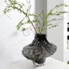 Nordic Creative Simple and Irregular Glass Vase Light Luxury Home Living Room Dining Table Decorative Ornaments Vases Decor