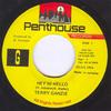 7inch Record TERRY GANZIE - Hey Hi Hello NONE Penthouse Recor 1996 Jamaica Reggae, Ska & Dub Used