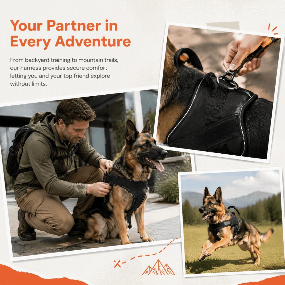 Reflective Strips Chest Harness Nylon Material Pet Harness Vest Style Dog Harness Outdoor Walking