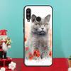 Чехол для Huawei Nova 9 10 SE 12i 11i 8i 12s Y90 Y60 Y70 Y72 Y61 Y91 P20 P40 P30 Lite P60 Pro с изображением Британской короткошерстной кошки