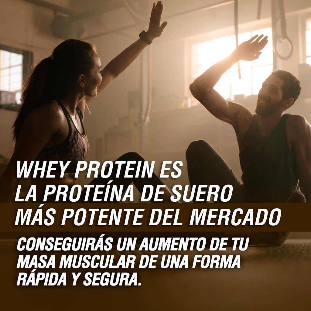Healthy Fusion Whey Protein | Pure Whey Protein with Collagen + Magnesium | 1000g of Protein (Chocolate)