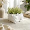 3D Printed Succulent Flower Pot Ornaments Puppy Figurine Unique Gift Bulldog Plant Pot  Lawn