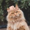 Ковбойская шляпа для домашних животных для маленьких собак и кошек, кепка для косплея, пляжная шляпа с козырьком, костюм щенка, аксессуары для уличной вечеринки, реквизит для фотосессии