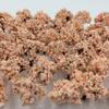 DauStage Forest for N Gauge and Architectural Available In 50 or 100 Colors Cherry Blossom 100 Trees, 3cm, Dioramas, Railways, Models, (19, Pink,