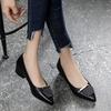 Pointed Single Shoes Women's Thick Heel Flat Mother Shoes 2025 New Autumn Versatile Temperament Work Shoes Soft Leather Women's Shoes