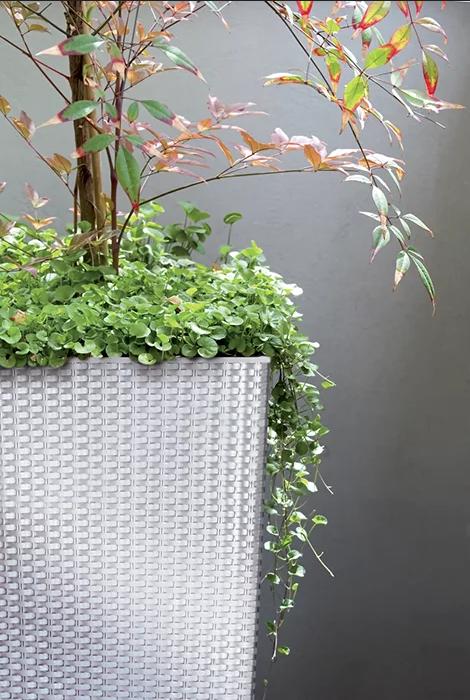 DSPW230-S433 HANGING POT 23 Rattan ANTHRACITE ROUND WITH HOOK 3L