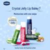 Vaseline Nourishing Repair Lip Balm Duo