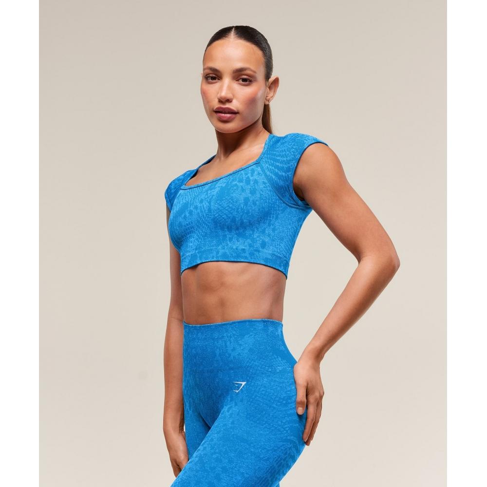 Gymshark Адаптировать X Whitney Animal бесшовный укороченный топ со штангой синего цвета нежно-голубого цвета B3b2h Uddp