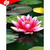 5D DIY Diamond Painting Flower Lotus Full Round Embroidery Sale Rhinestone Pictures