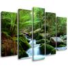 Five Piece Picture Canvas Print Forest Rock Waterfall