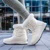 Winter New Woman Warm Snow Boots Waterproof Lace-Up Thicken Plush Winter  Warm Platform Ankle Boots