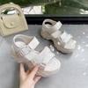 Женские босоножки на каблуке в спортивном стиле, летние, новые, модные, бисквитные, на толстой подошве, популярные в Интернете, пляжные, повседневные