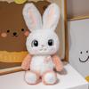 Cute Long-Eared Rabbit Plush Toy - Cartoon Big-Eyed Doll for Kids' Companionship and Gifts