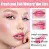 EELHOE Plumping And Moisturizing Lip Glaze, Lightening Lip Lines, Hydrating Lips, Plumping Care, Water-glossy Glass Lip Gloss Oil