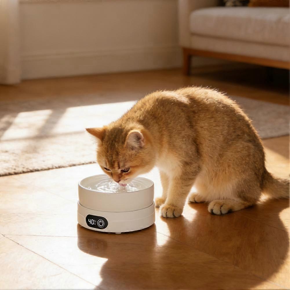 Heated Ceramic Pet Bowl With Adjustable Temperature Control For Cats And Dogs