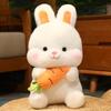 Cartoon Rabbit Doll Plush Toy Children's Doll Cute Carrot Bunny Doll Birthday Gift