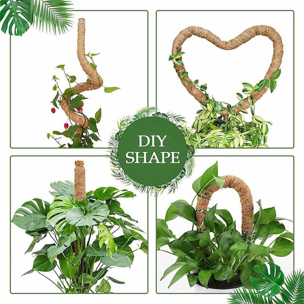 Plant Moss Poles For Indoor Plants Climbing Support Moss Poles DIY Modeling Plants Rods
