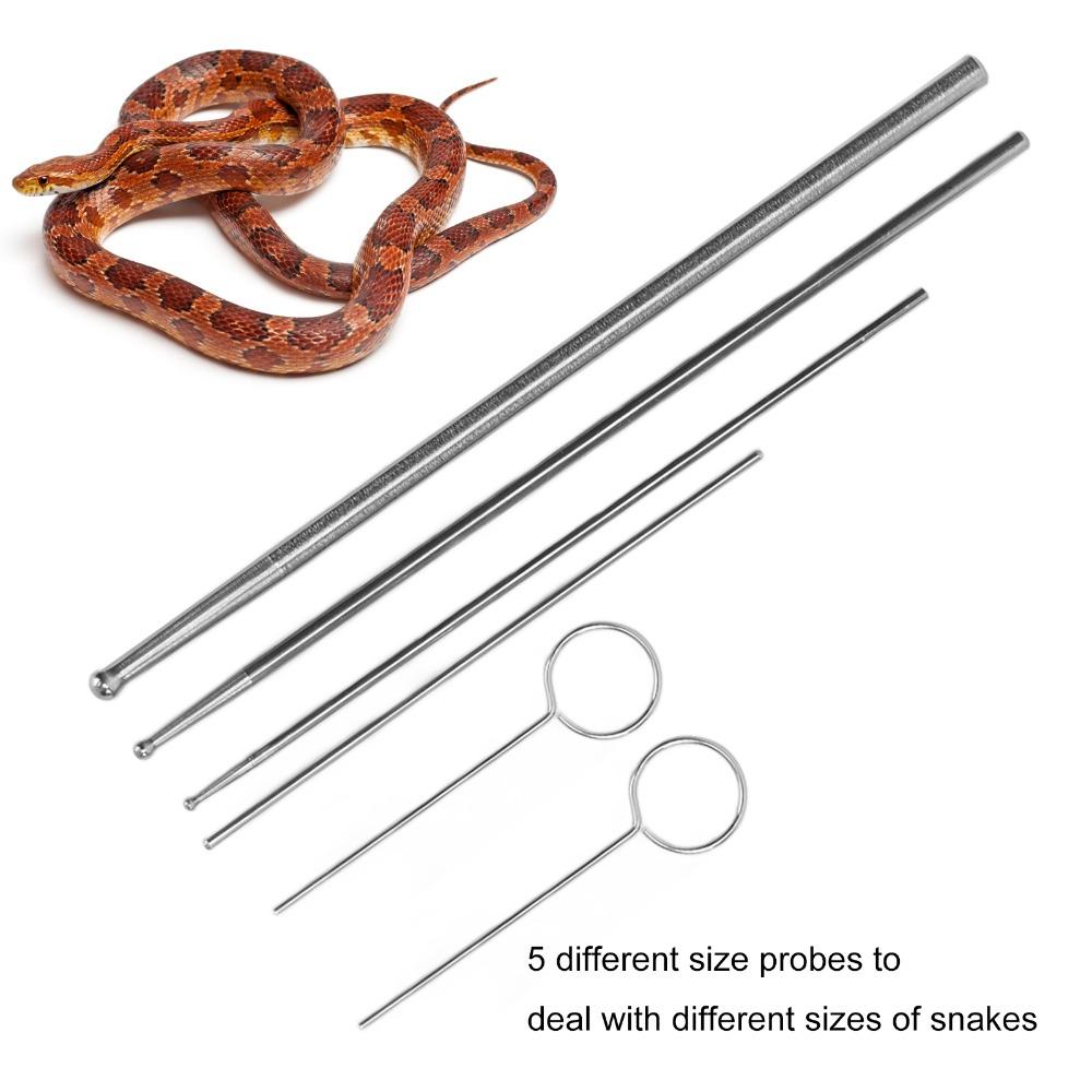 6pcs Stainless Steel Snake Probe Kit Anti Allergy Reptile Sexing Probe Snake Breeders