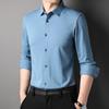 Spring and Autumn New Men's Mulberry Silk Light Business Formal Shirt Men's Casual Long-sleeved Men's Shirt