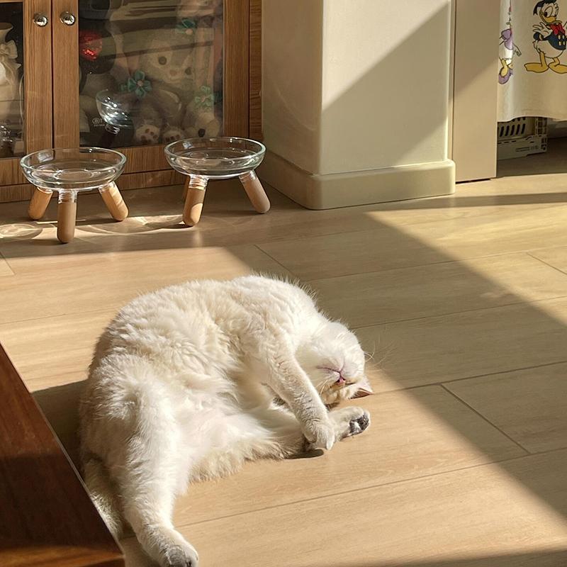 Миска для кошек с прозрачным дизайном, приподнятая миска для кошачьего корма, тарелка для воды, миска для лакомств с подставкой для защиты шеи