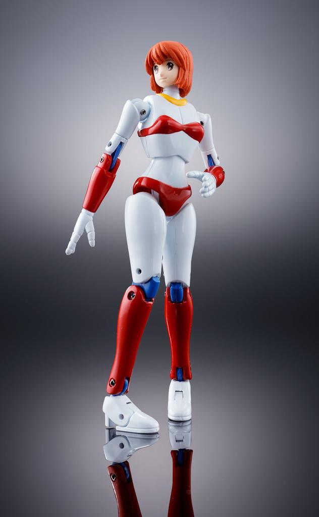 TAMASHII NATIONS Душа Чогокина Машина Робо Байканфу GX-39R (Продление версии)